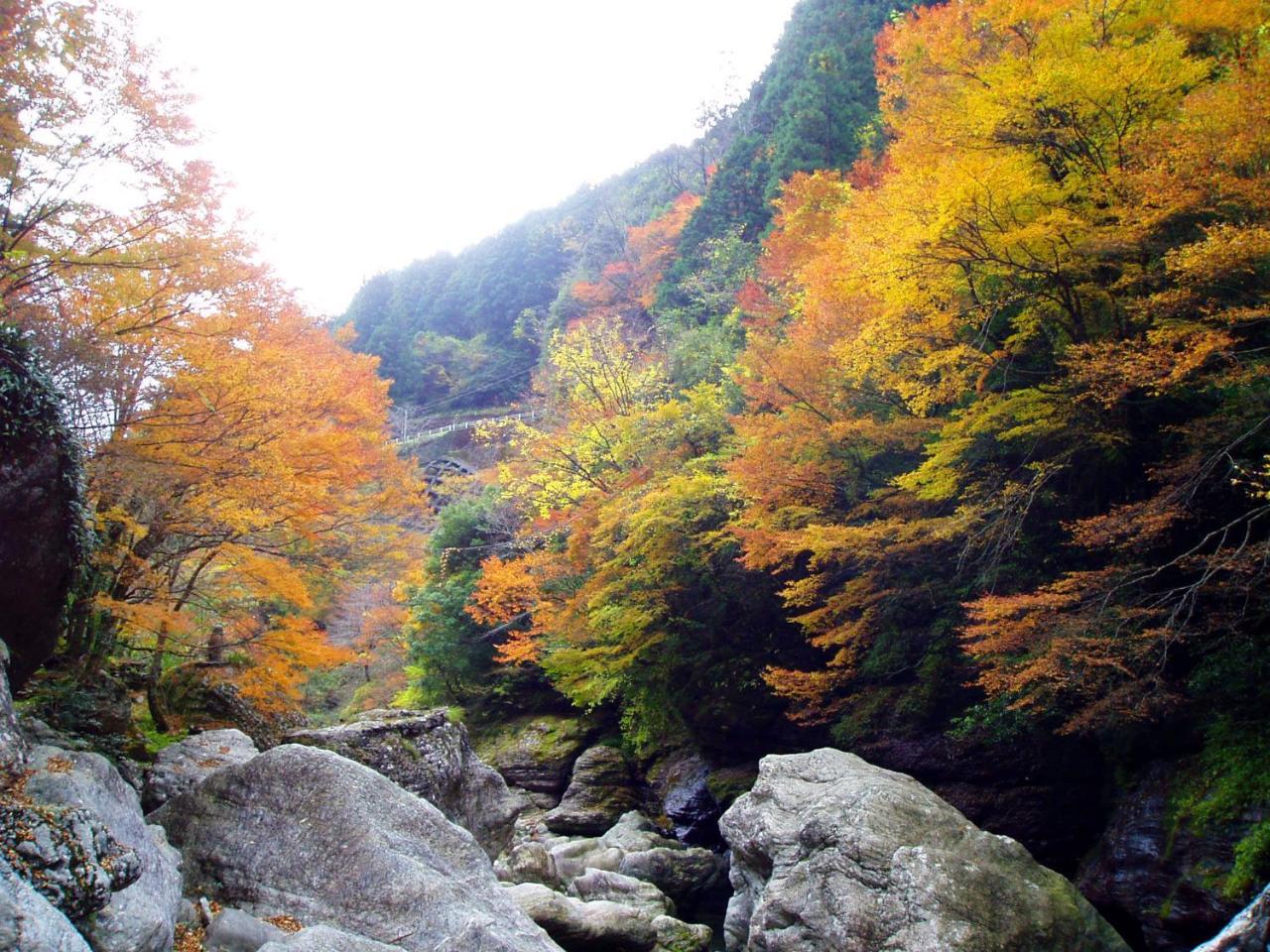 Nature Resort In Niyodo Niyodogawa Buitenkant foto
