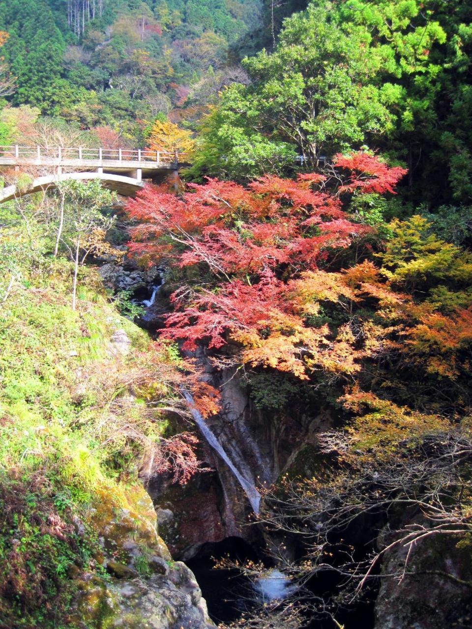 Nature Resort In Niyodo Niyodogawa Buitenkant foto